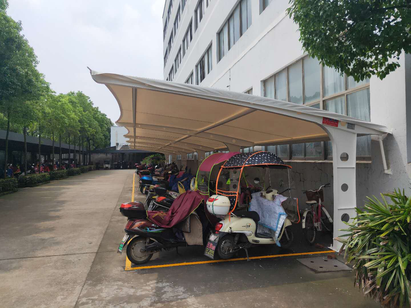 合作案例 (7).jpg